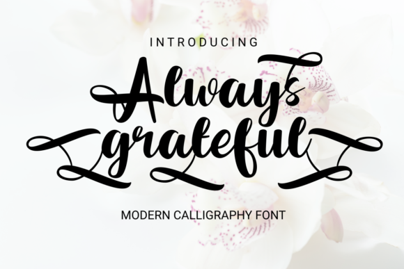 Always Grateful: A Serif Font That Earns Its Place in Campaign Design