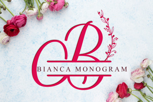 Bianca Monogram: A Font That Elevates Your Digital Brand