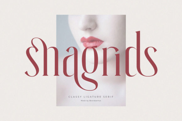 Snagrids: The Font That Elevates Your Campaigns
